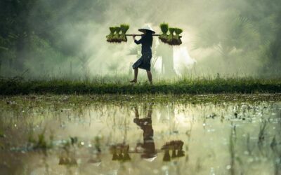 La insoportable levedad de un CRM… hasta que HubSpot conecta