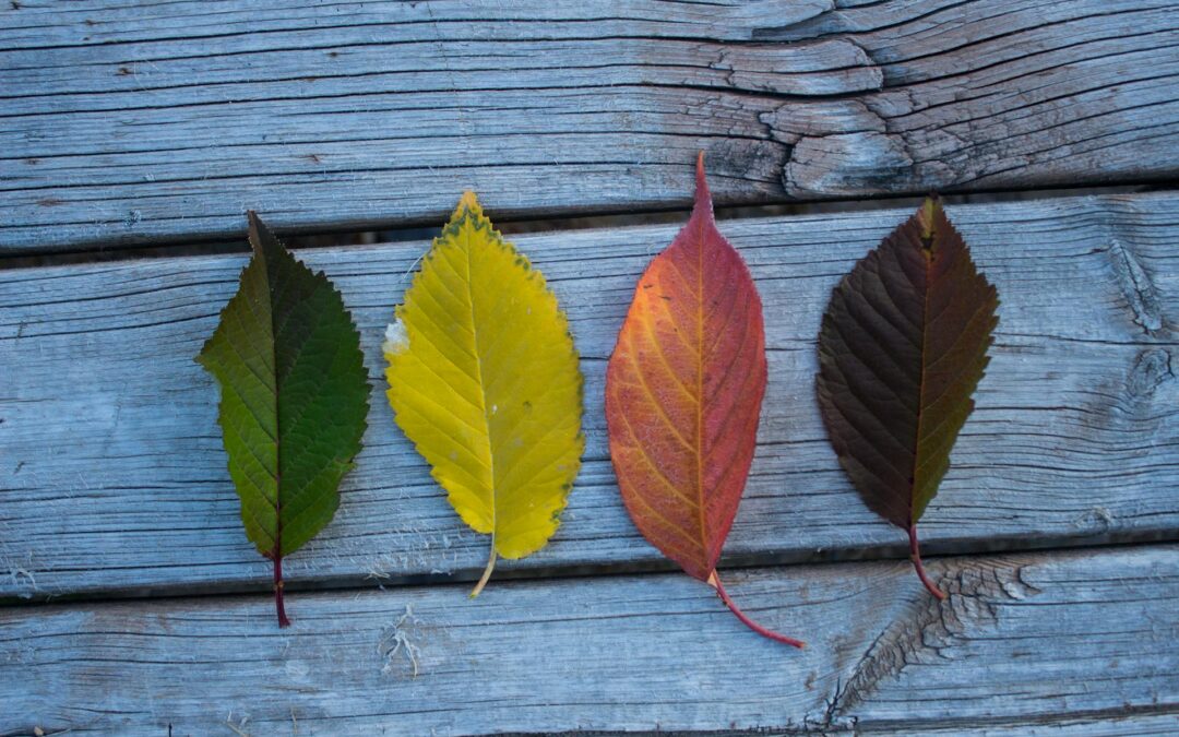 De Odoo a Power BI (II): cuando los datos de Odoo empiezan a decir algo